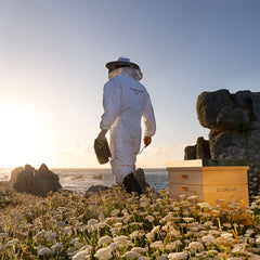 Abeille Royale Bandage Mask