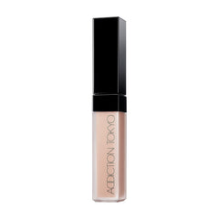 Addiction Skin Reflect Fix Concealer