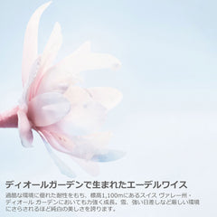 Dior Snow UV Shield Tone Up 50+ (SPF50+/PA+++) (Sunscreen Emulsion)