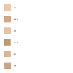 Gucci Cushion de Beaute