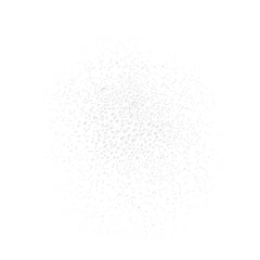 Gucci Bloom de Beaute