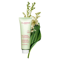 Gentle Foaming Cleanser N Combination/Oily