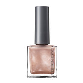 Addiction the Magnet Nail Polish