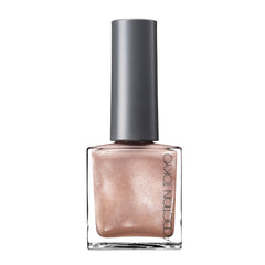 Addiction the Magnet Nail Polish