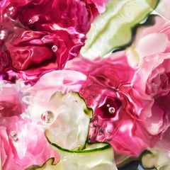 Aqua Allegoria Hand Cream Rosa Verde