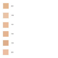 Powder Foundation e (refill)