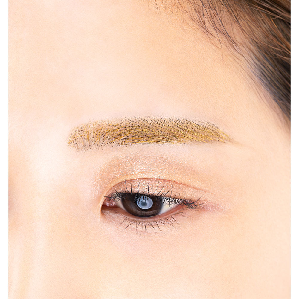 Paul & Joe Eyebrow Mascara