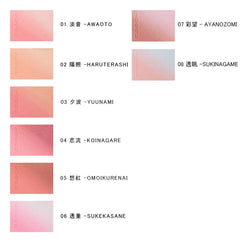 Blurring Color Blush