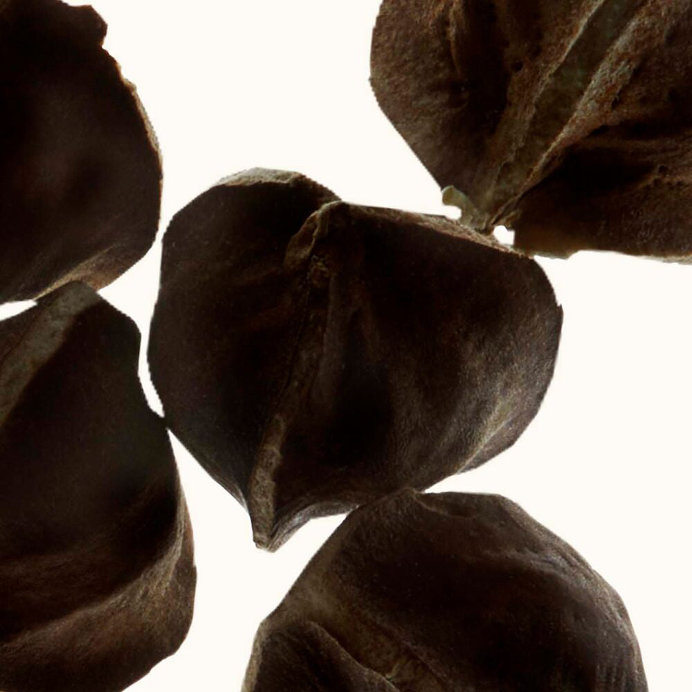 Smoothing Body Scrub N