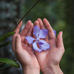 Orchidee Imperiale The Longevity Rich Cream