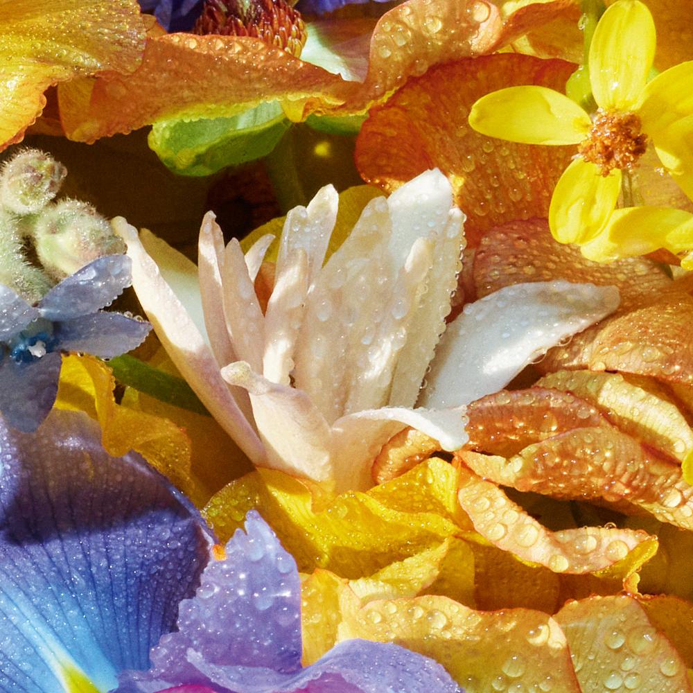 Aqua Allegoria Hand Cream Flow Love Bloom