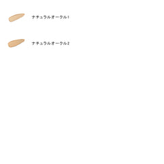 Skin Treatment Foundation N
